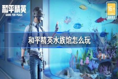 和平精英辅助触控模式怎么开的啊(和平精英辅助触控模式怎么玩) 和平精英辅助触控模式怎么开的啊(和平精英辅助触控模式怎么玩)