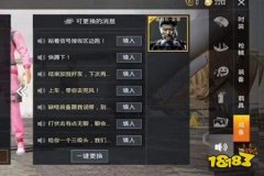 怎样查和平精英外挂（怎样在和平精英里查询外挂）