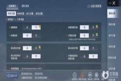 怎样才能让和平精英不开外挂（该怎样才能在和平精英里面开外挂）