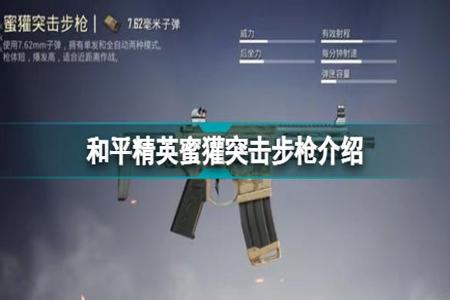 和平精英高端局辅助怎么玩(和平精英高端辅助) 和平精英高端局辅助怎么玩(和平精英高端辅助)