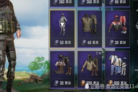 和平精英辅助什么好用一点(和平精英辅助哪种好用) 和平精英辅助什么好用一点(和平精英辅助哪种好用)