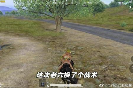 杨易和平精英辅助怎样用(杨易和平精英如何使用) 杨易和平精英辅助怎样用(杨易和平精英如何使用)