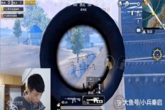 和平精英鲨鱼开辅助瞄准吗（和平精英该开辅助瞄准吗）