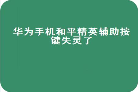 和平精英硬件辅助效果是什么(和平精英使用硬件辅助) 和平精英硬件辅助效果是什么(和平精英使用硬件辅助)