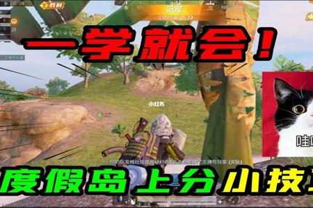 和平精英外挂主播无后什么意思(和平精英主播后面数字什么意思) 和平精英外挂主播无后什么意思(和平精英主播后面数字什么意思)