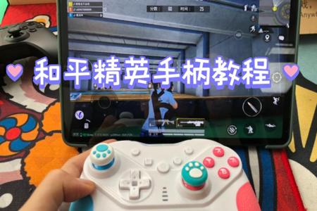 和平精英辅助功能开吗(和平精英辅助功能) 和平精英辅助功能开吗(和平精英辅助功能)