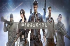 和平精英需要下些什么辅助软件（和平精英下什么辅助软件才最好）