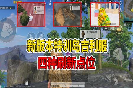 和平精英特训岛打靶有辅助瞄准吗(和平精英特训岛有辅助瞄准吗) 和平精英特训岛打靶有辅助瞄准吗(和平精英特训岛有辅助瞄准吗)