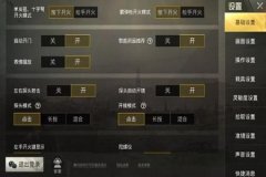 辅助滤镜和平精英怎么设置（辅助器和平精英怎么调）