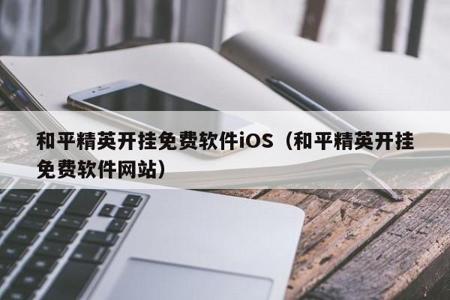 和平精英辅助网站有哪些(和平精英辅助工具有哪些) 和平精英辅助网站有哪些(和平精英辅助工具有哪些)