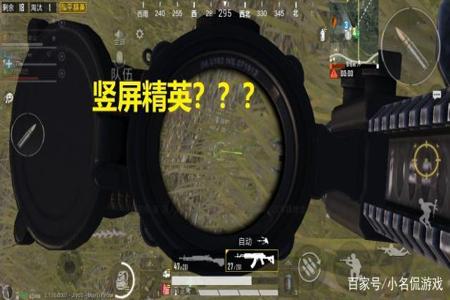和平精英需要开辅助瞄准吗(和平精英需不需要开辅助瞄准) 和平精英需要开辅助瞄准吗(和平精英需不需要开辅助瞄准)