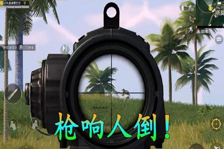 和平精英辅助瞄准怎么看(和平精英辅助瞄准是什么) 和平精英辅助瞄准怎么看(和平精英辅助瞄准是什么)