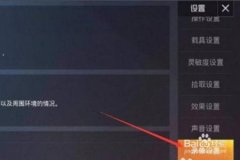 辅助跟随在哪里开和平精英（探头在哪里开和平精英）