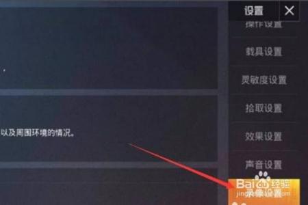 辅助跟随在哪里开和平精英（探头在哪里开和平精英）