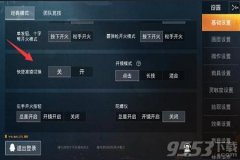 外挂在和平精英里怎么耍（外挂在和平精英怎么设置）