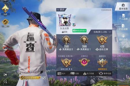 怎么在和平精英巡查外挂（怎样在和平精英里面巡查外挂）