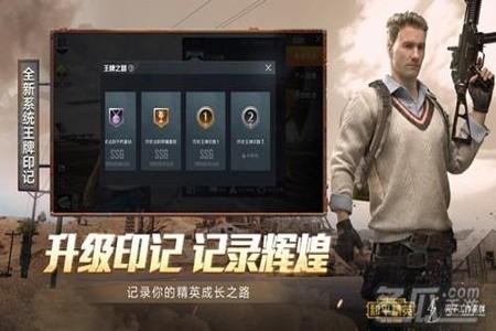 和平精英辅助器为什么下架(和平精英辅助器设置) 和平精英辅助器为什么下架(和平精英辅助器设置)