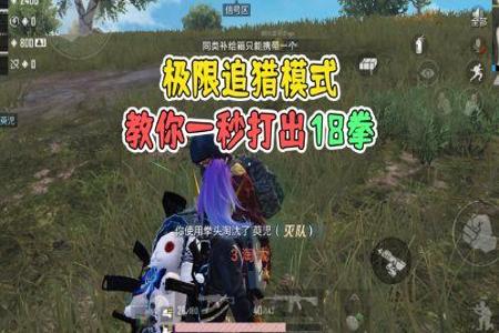 和平精英追猎者外挂怎么用(和平精英追猎者怎么玩) 和平精英追猎者外挂怎么用(和平精英追猎者怎么玩)