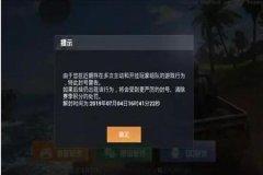 如何举报和平精英外挂网站（如何快速举报和平精英外挂）