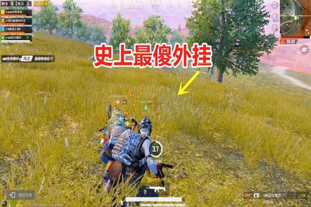 和平精英怎么当外挂型船员(和平精英怎么当外挂) 和平精英怎么当外挂型船员(和平精英怎么当外挂)