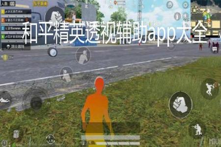 和平精英里的辅助哪里买的(和平精英的辅助按键在哪里) 和平精英里的辅助哪里买的(和平精英的辅助按键在哪里)