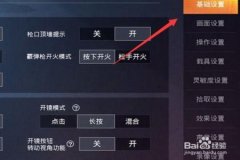 怎么开所有外挂和平精英（开外挂的设置和平精英）