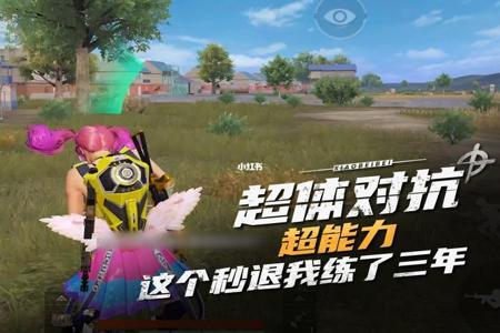 和平精英超体对抗辅助哪个好(和平精英超体对抗选哪个才好) 和平精英超体对抗辅助哪个好(和平精英超体对抗选哪个才好)