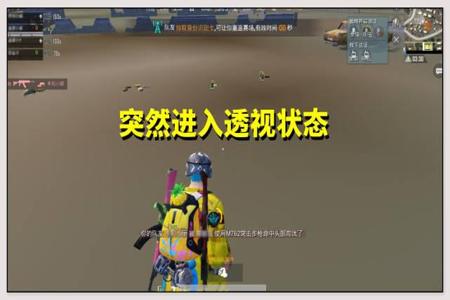 小v你知道和平精英的外挂吗（现在和平精英的外挂还多吗）