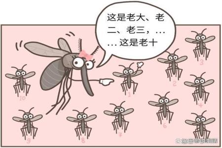 和平精英蚊子同款外挂怎么下(和平精英蚊子科技怎么下载) 和平精英蚊子同款外挂怎么下(和平精英蚊子科技怎么下载)