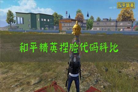 和平精英战术辅助设置在哪(和平精英战斗设置在哪里) 和平精英战术辅助设置在哪(和平精英战斗设置在哪里)