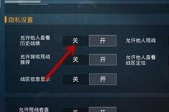 怎么样能开和平精英外挂（怎么样在和平精英里开外挂）