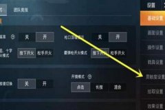 外挂和平精英怎样开（外挂和平精英怎么搞）